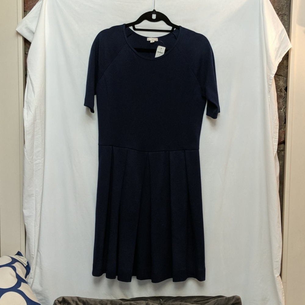 Gap navy knee length pleated dress.